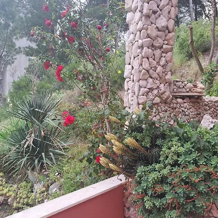 Lifestyle Apartamento Podstrana